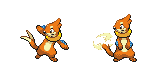 buizel