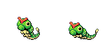 caterpie