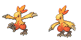combusken