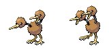 doduo