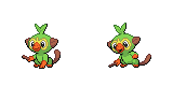 grookey
