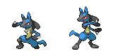 lucario