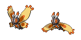 mothim