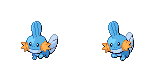 mudkip