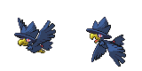 murkrow