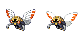 ninjask