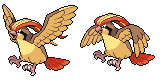 pidgeot