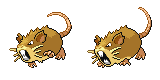 raticate