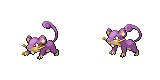 rattata