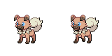 rockruff_own_tempo