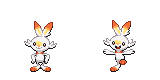 scorbunny