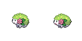 shaymin