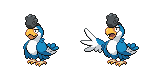 squawkabilly_blue_plumage
