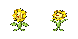 sunflora