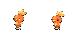 torchic