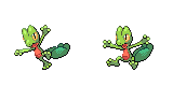 treecko