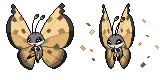 vivillon_sandstorm